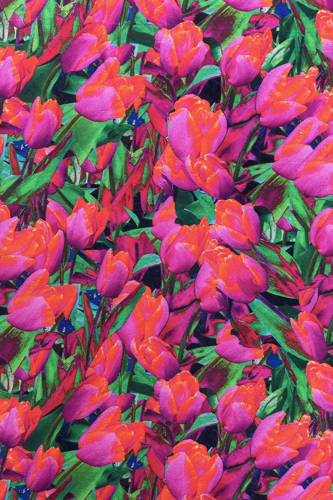 Demo image