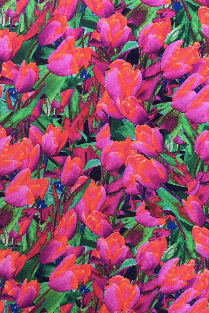 Demo image